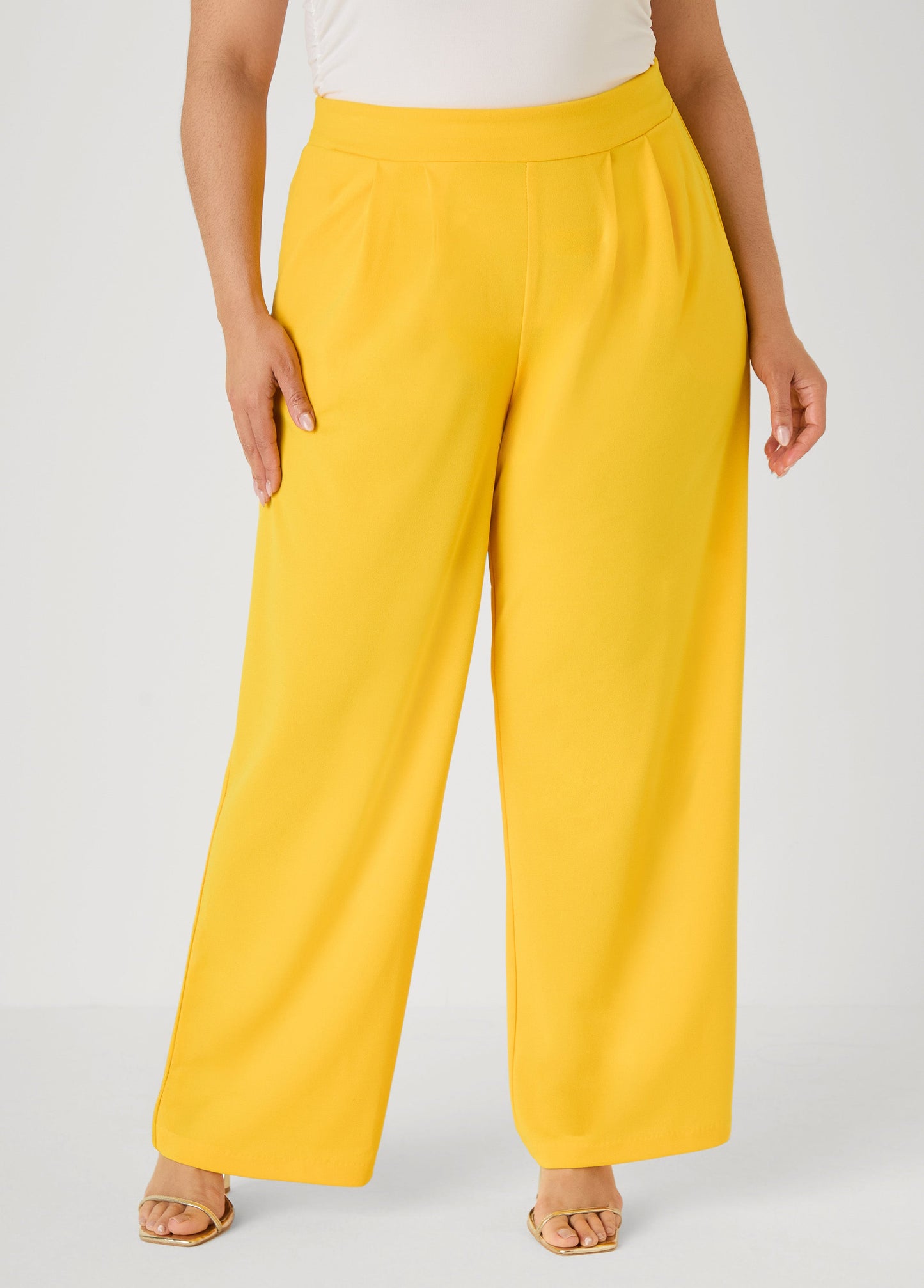 Ashley Stewart Pleated Wide Leg Pants Royal Blue