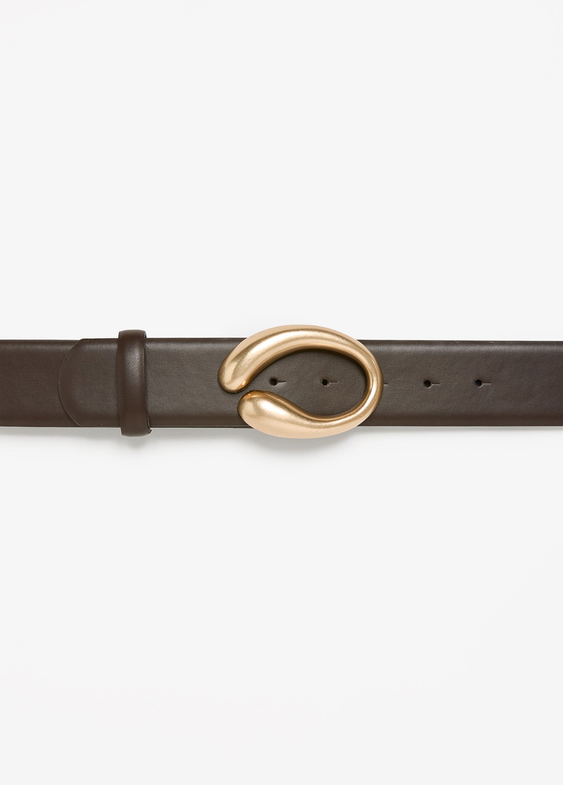 Ashley Stewart Sculpted Buckle Belt Chocolate Brown