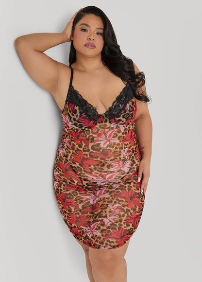 Ashley Stewart Leopard Flower Set Multi