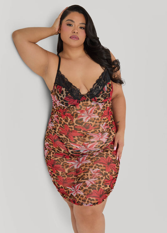 Ashley Stewart Leopard Flower Set Multi